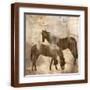 Brown Frame