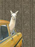 Taxi Llama-Jason Ratliff-Giclee Print