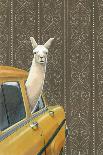 Taxi Llama-Jason Ratliff-Giclee Print