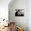 Jason Statham-null-Photo displayed on a wall