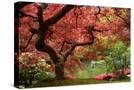 Stretched Canvas