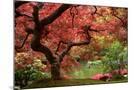 Wood Mount