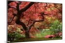 Wood Mount