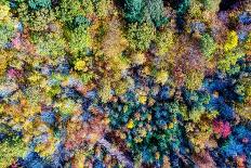 Above the Beach Horizontal-Jason Veilleux-Photographic Print