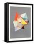 Framed Canvas