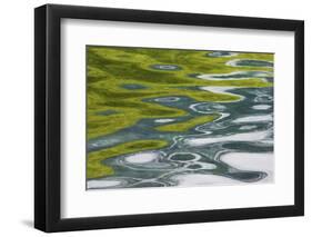 Jasper National Park, Abstract Reflections-Ken Archer-Framed Photographic Print