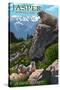 Jasper National Park, Canada - Olympic Marmots - Lantern Press Artwork-Lantern Press-Stretched Canvas