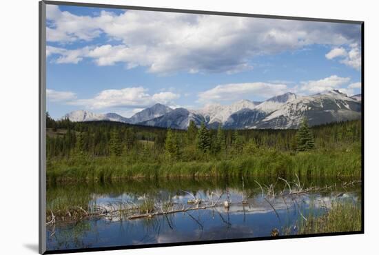 Jasper National Park, Canadian Rockies-Ken Archer-Mounted Photographic Print