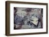 Jasper Rock Slab-Darrell Gulin-Framed Photographic Print