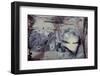 Jasper Rock Slab-Darrell Gulin-Framed Photographic Print