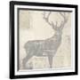 Jasper-Vanya-Framed Art Print