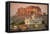 Jaswant Thada and Meherangarh Fort, Jodhpur (The Blue City), Rajasthan, India, Asia-Doug Pearson-Framed Stretched Canvas