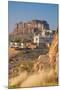 Jaswant Thada and Meherangarh Fort, Jodhpur (The Blue City), Rajasthan, India, Asia-Doug Pearson-Mounted Photographic Print