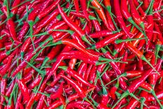 Red Chillies for Sale at Market,Thailand-Jat306-Photographic Print