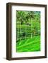 Jatiluwih rice terrace, a popular tourist experience near the center of Bali close to Ubud.-Greg Johnston-Framed Photographic Print