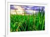 Jatiluwih rice terrace, a popular tourist experience near the center of Bali close to Ubud.-Greg Johnston-Framed Photographic Print