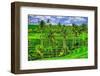 Jatiluwih rice terrace, a popular tourist experience near the center of Bali close to Ubud.-Greg Johnston-Framed Photographic Print