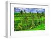 Jatiluwih rice terrace, a popular tourist experience near the center of Bali close to Ubud.-Greg Johnston-Framed Photographic Print