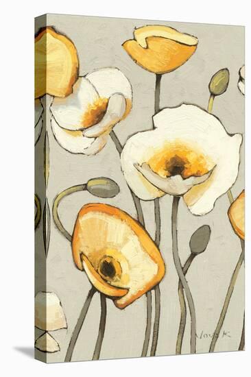 Jaune Gris III Crop-Shirley Novak-Stretched Canvas