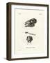 Java Mouse-Deer-null-Framed Giclee Print