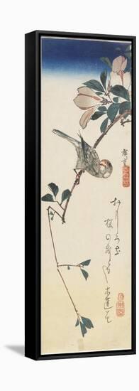 Java Sparrow and Magnolia, 1834-1839-Utagawa Hiroshige-Framed Stretched Canvas