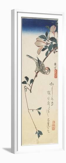 Java Sparrow and Magnolia, 1834-1839-Utagawa Hiroshige-Framed Premium Giclee Print