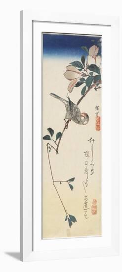 Java Sparrow and Magnolia, 1834-1839-Utagawa Hiroshige-Framed Giclee Print