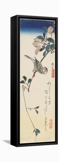 Java Sparrow and Magnolia, 1834-1839-Utagawa Hiroshige-Framed Stretched Canvas