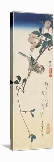 Java Sparrow and Magnolia, 1834-1839-Utagawa Hiroshige-Stretched Canvas