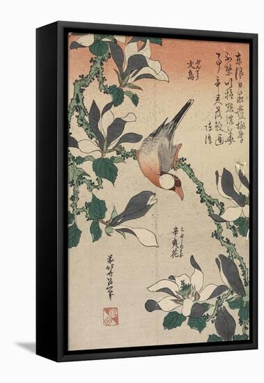 Java Sparrow and Magnolia, C. 1832-Katsushika Hokusai-Framed Stretched Canvas