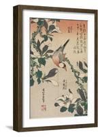 Java Sparrow and Magnolia, C. 1832-Katsushika Hokusai-Framed Giclee Print