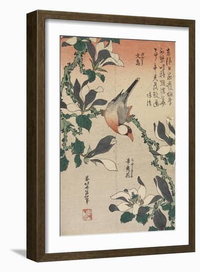 Java Sparrow and Magnolia, C. 1832-Katsushika Hokusai-Framed Giclee Print