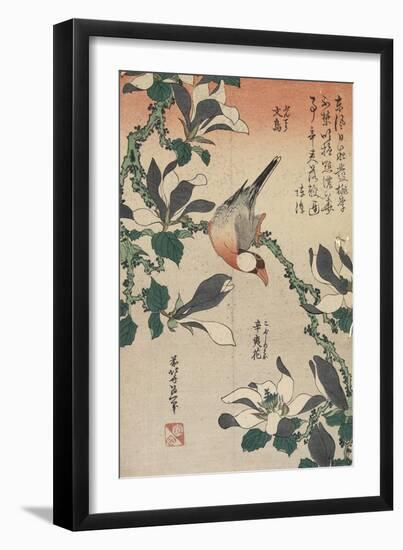 Java Sparrow and Magnolia, C. 1832-Katsushika Hokusai-Framed Giclee Print