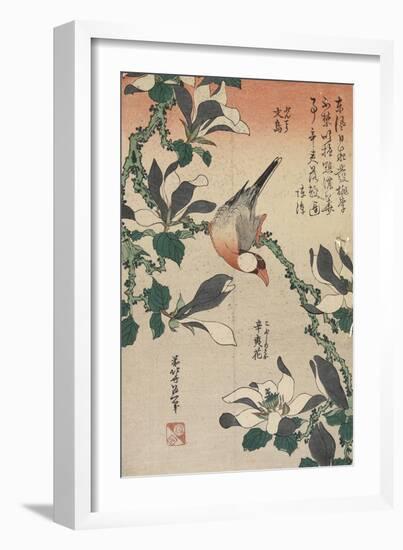 Java Sparrow and Magnolia, C. 1832-Katsushika Hokusai-Framed Giclee Print