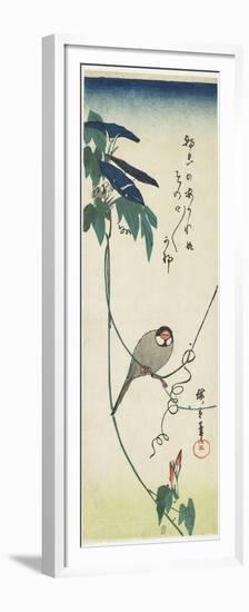 Java Sparrow and Morning Glories, 1834-1839-Utagawa Hiroshige-Framed Premium Giclee Print
