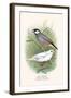 Java Sparrow-F.w. Frohawk-Framed Art Print