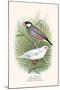 Java Sparrow-F.w. Frohawk-Mounted Art Print