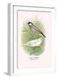 Java Sparrow-Arthur G. Butler-Framed Art Print