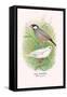 Java Sparrow-Arthur G. Butler-Framed Stretched Canvas