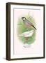 Java Sparrow-Arthur G. Butler-Framed Art Print