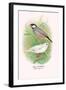 Java Sparrow-Arthur G. Butler-Framed Art Print