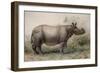 Javan Rhinoceros, 1874-Joseph Wolf-Framed Giclee Print