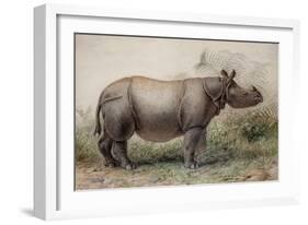 Javan Rhinoceros, 1874-Joseph Wolf-Framed Giclee Print