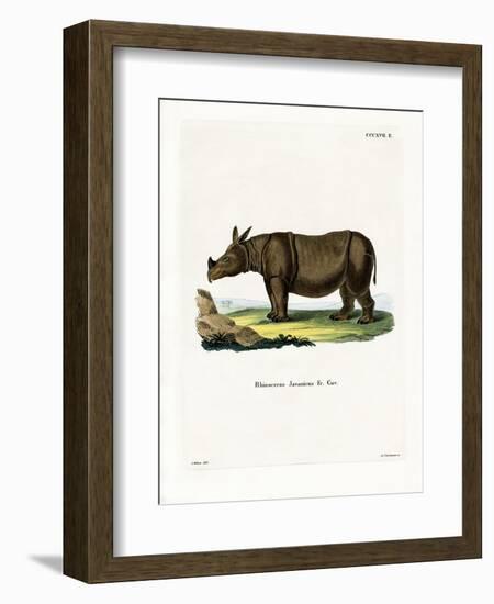 Javan Rhinoceros-null-Framed Giclee Print