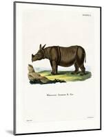 Javan Rhinoceros-null-Mounted Giclee Print