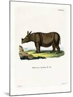 Javan Rhinoceros-null-Mounted Giclee Print