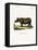 Javan Rhinoceros-null-Framed Stretched Canvas