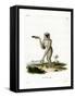 Javan Silvery Gibbon-null-Framed Stretched Canvas