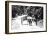 Javanese Bullock Cart-null-Framed Photographic Print