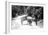 Javanese Bullock Cart-null-Framed Photographic Print